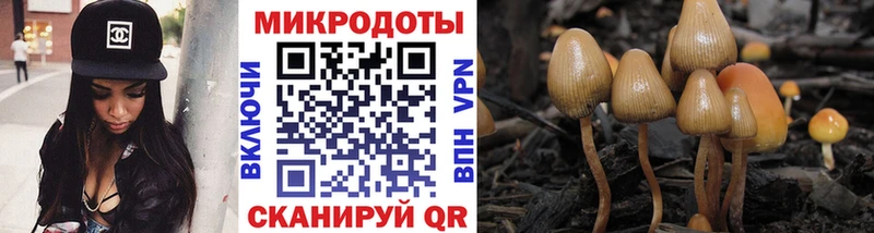 Галлюциногенные грибы MAGIC MUSHROOMS  Прохладный 